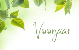 Voorjaar (1100 x 900 px) (1)