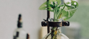 Zonder titel (1400 x 620 px) (1)